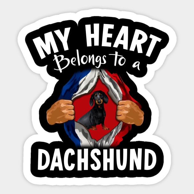 My Heart Belongs To A Dachshund Sticker by Pelman